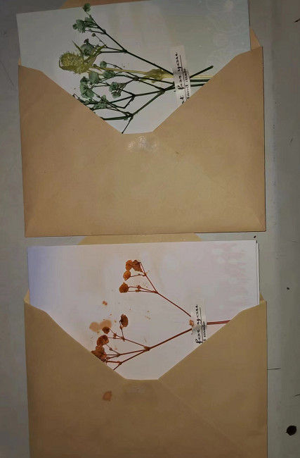 1665306042.png 圖片4.png